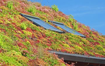 Marshalls Heath living roof systems
